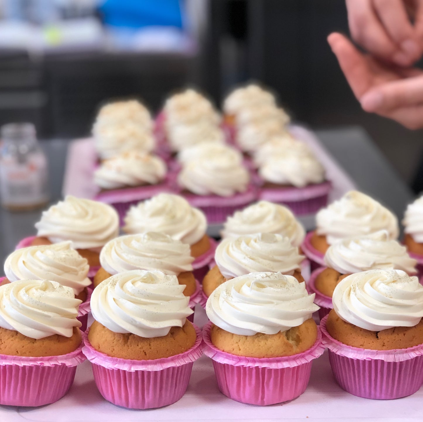 cupcake logato